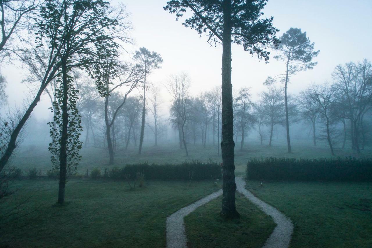 Les Chambres D'Hotes Du Domaine De Lugazaut Vielle-Soubiran Esterno foto